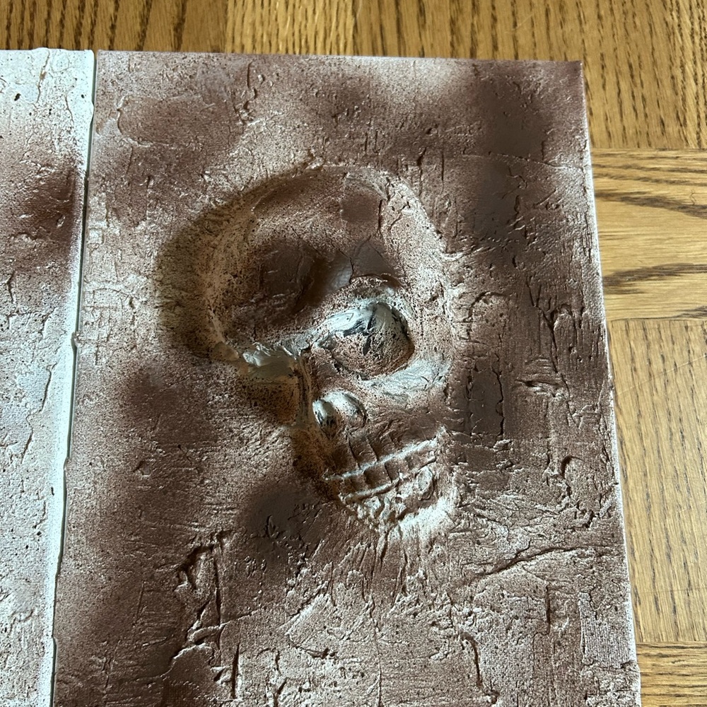 3 Piece Brown Skull Wall Art